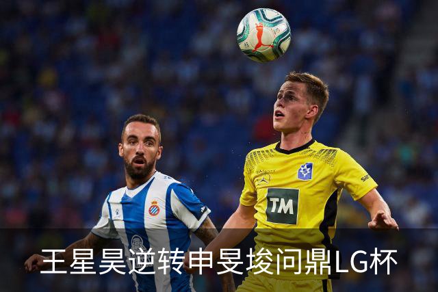 王星昊逆转申旻埈问鼎LG杯